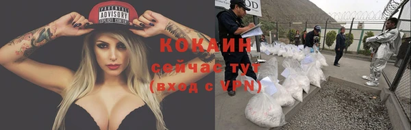 PSILOCYBIN Абинск