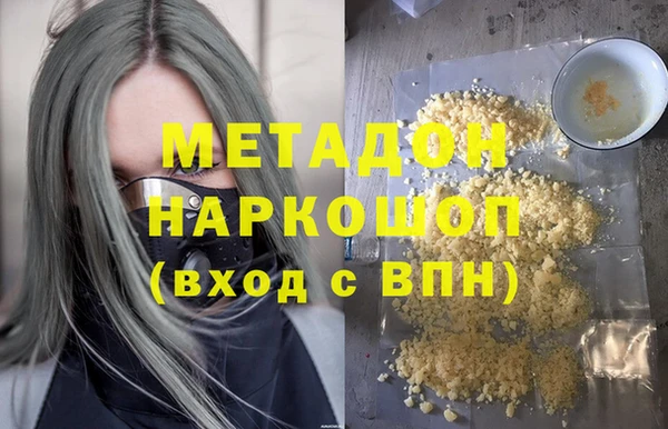 прущие грибы Рославль