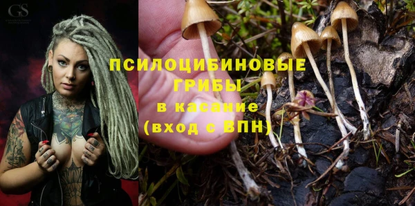 дживик Ростов