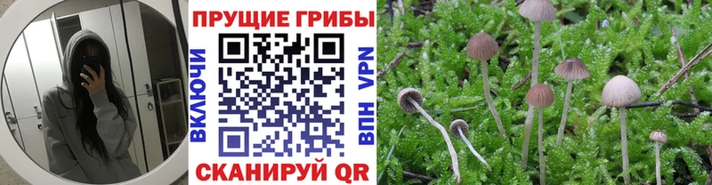 Галлюциногенные грибы мицелий  Лебедянь 